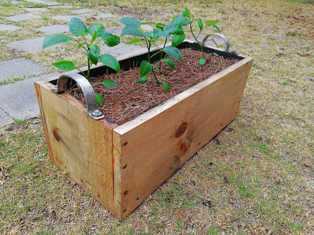 Caja de cultivo