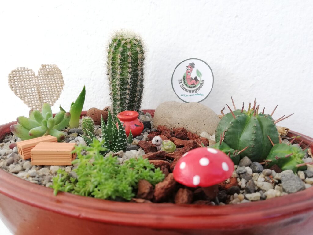 Mini jardin