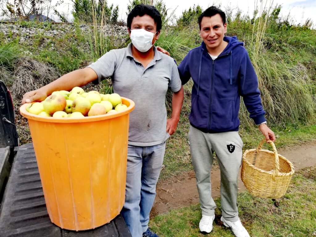 Luis con manzanas